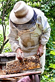Beekeeper