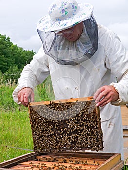 Beekeeper 21