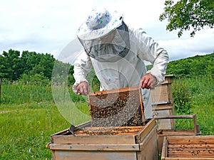 Beekeeper 22