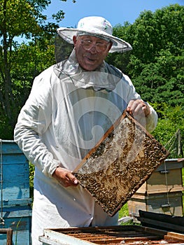 Beekeeper 27