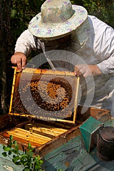 Beekeeper