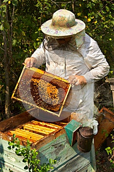 Včelař 