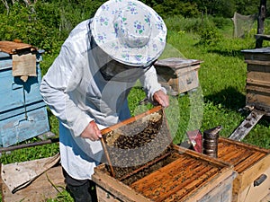 Beekeeper 29