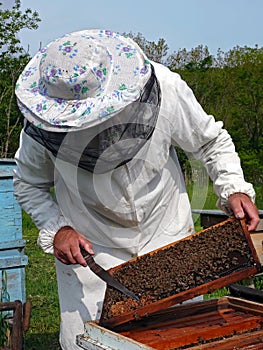 Beekeeper