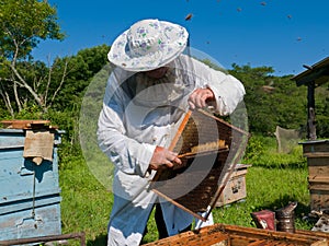 Beekeeper 30