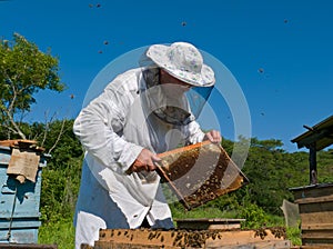 Beekeeper 32