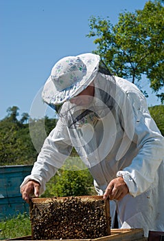 Beekeeper 41