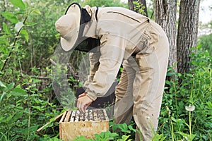 Beekeeper