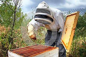 Beekeeper