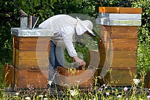 Beekeeper