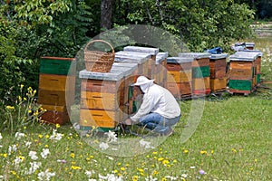 Beekeeper