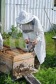 Beekeeper 60