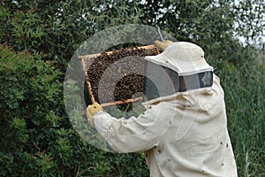 Beekeeper