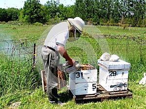 Beekeeper