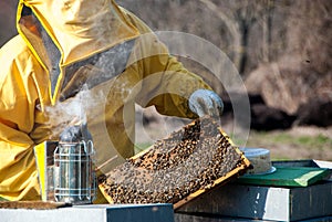 Beekeeper