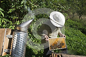 Beekeeper