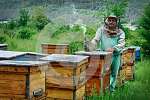Beekeeper in an apiary near the hives. Apiculture. Apiary.