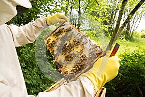 Beekeeper
