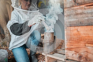Beekeeper, bee suit and smoke, fog and smoking a beehive box outdoor on a farm, working and safety protection