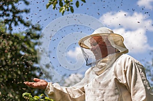 Beekeeper and bee swarm, apiary beehive honey