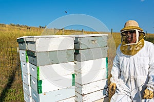 Beekeeper with Beehives