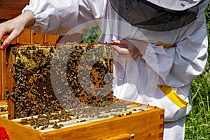 Beekeeper with bees