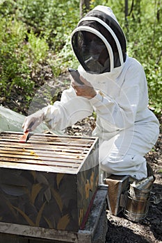 Beekeeper with cell phone photo