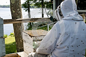 Beekeeper checking on his hive