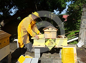 A beekeeper checking his inventive double hive with an automatic honey dispenser