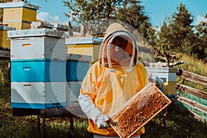 Beekeeper checking honey on the beehive frame in the field. Small business owner on apiary. Natural healthy food