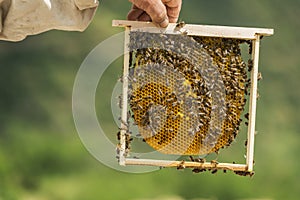 Beekeeper