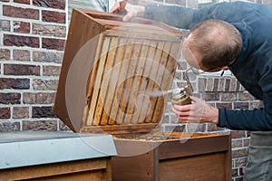 Beekeeper checks his bee colony using smoke