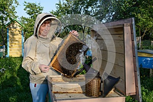 Beekeeper controlling beehive and comb frame. Apiculture.