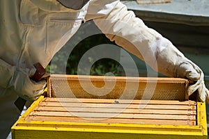 Beekeeper controlling beeyard and bees