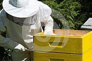 Beekeeper controlling beeyard and bees