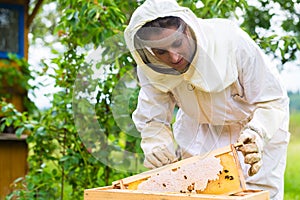 Beekeeper controlling beeyard and bees