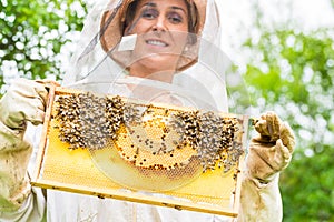 Beekeeper controlling beeyard and bees