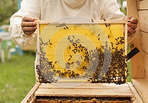 Beekeeper controlling beeyard and bees