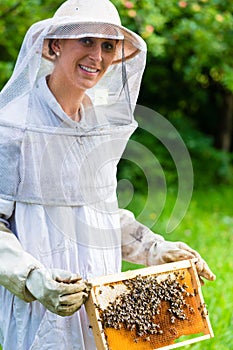 Beekeeper controlling beeyard and bees