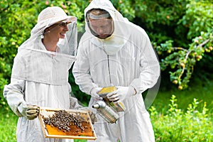 Beekeeper controlling beeyard and bees