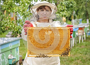 Beekeeper controlling comb frame