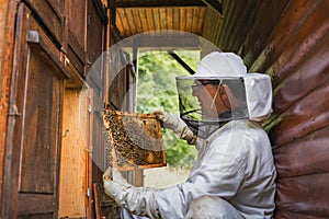 Beekeeper doing a hive inspection, checking bees and comb