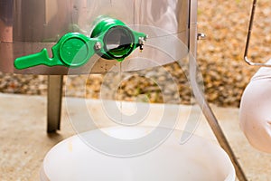 Beekeeper filling honey out of extractor