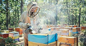 The beekeeper fumigates the hive with a smoke. Harvest honey in the apiary.