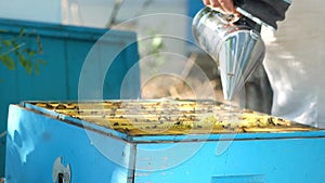 Beekeeper fumigates the hive with smoke to calm bees. Beekeeping prosess.