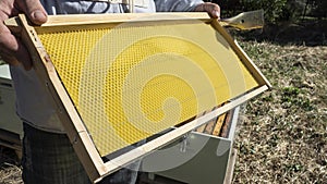 The beekeeper has control a new honeycomb
