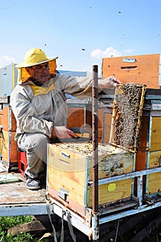 Beekeeper and his mobile beehives