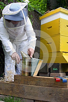 Beekeeper and hive