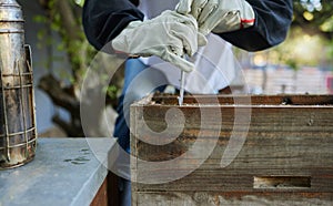 Beekeeper, hive tool and opening box, crate and storage to remove frame for honeycomb production process. Bees, insects