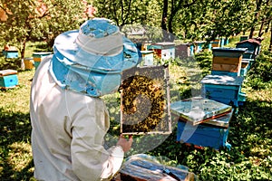 Beekeeper hold frame with honeycomb